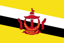 文莱队徽